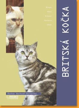 Britska-kocka